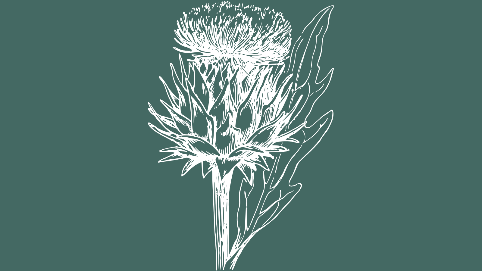The Thistle